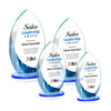 Windermere VividPrint™ Award