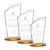 Tomkins Award