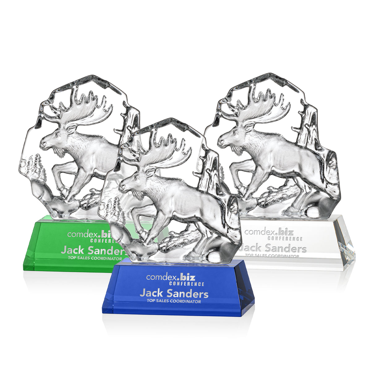 Ottavia Moose Award