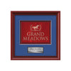 Raven Framed Award