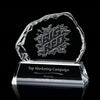Aspen Liquid Crystal™ Award