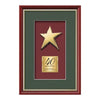 Baron Rising Star Framed Award
