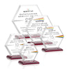 Barnett VividPrint™ Award