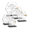 Barnett VividPrint™ Award