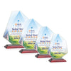 Picton VividPrint™ Award
