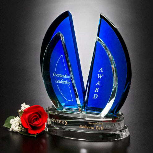 Flight Indigo Award