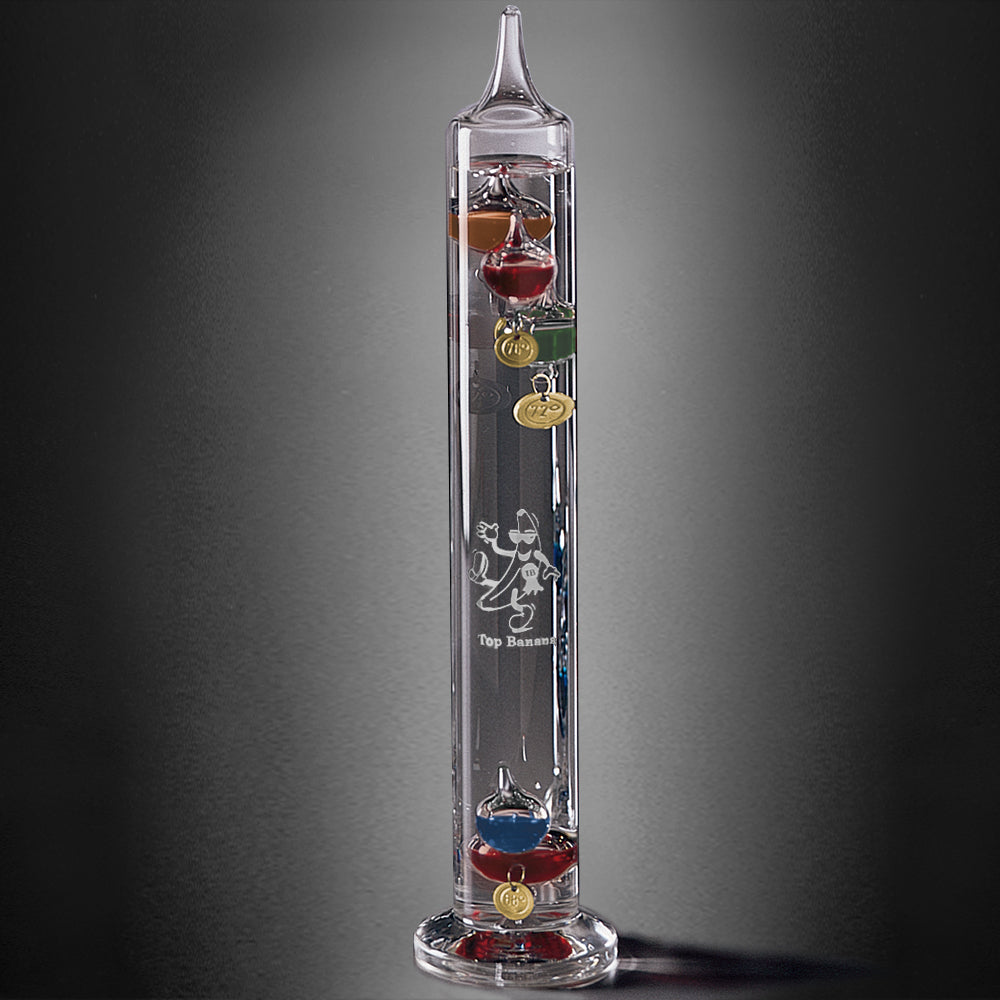 Galileo Thermometer 11" - Crystal D