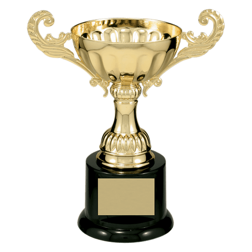 Classic Metal Cup Trophy