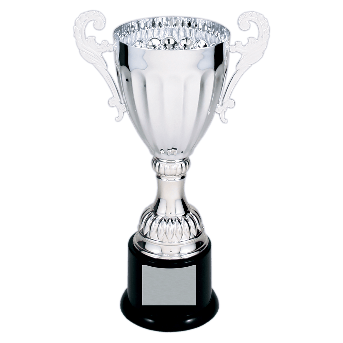 Completed Metal Cup Trophy — 300 Series — CMC301S option