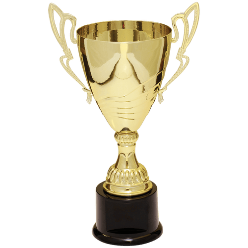 Gold Completed Metal Cup Trophy on Plastic Base