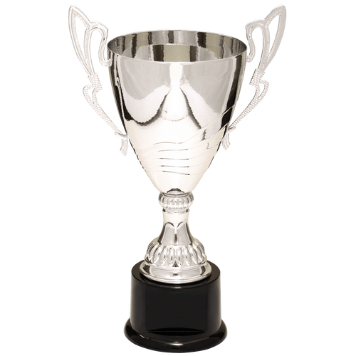Silver Completed Metal Cup Trophy on Plastic Base