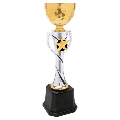 Silver/Gold Completed Metal Cup Trophy