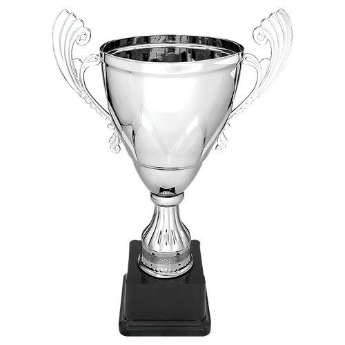 Silver Completed Metal Cup on Plastic Base