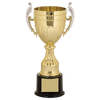 Gold and Silver Plastic Cup Trophy