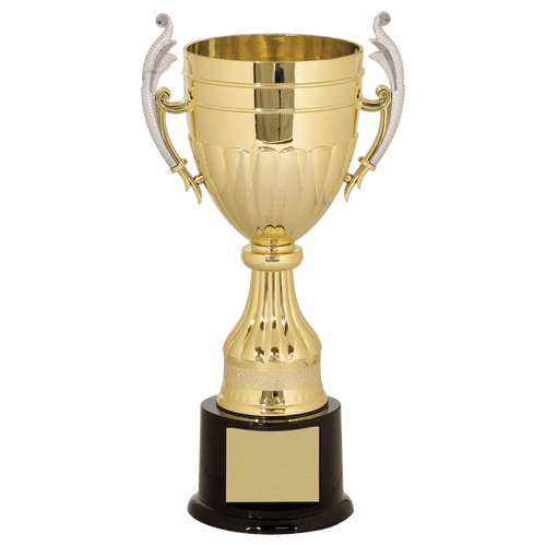 Gold and Silver Plastic Cup Trophy