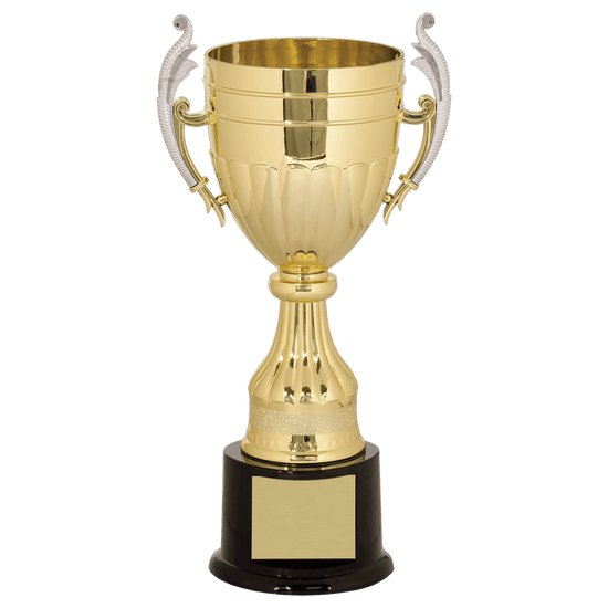 Gold and Silver Plastic Cup Trophy