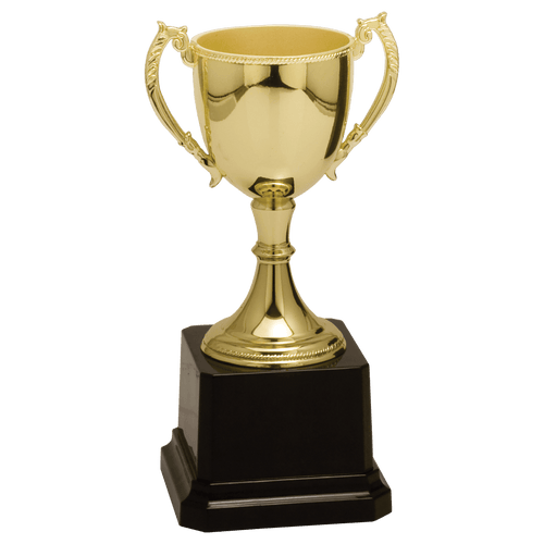 Gold Completed Zinc Cup Trophy