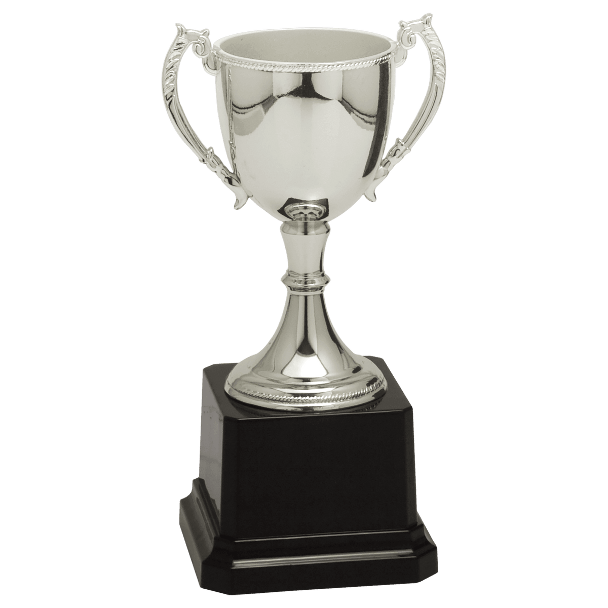 Silver Completed Zinc Cup Trophy