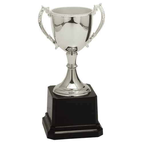 Silver Completed Zinc Cup Trophy