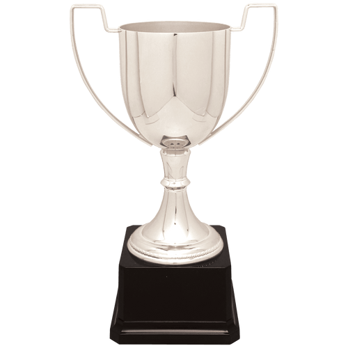 Silver Completed Zinc Cup Trophy on Plastic Base