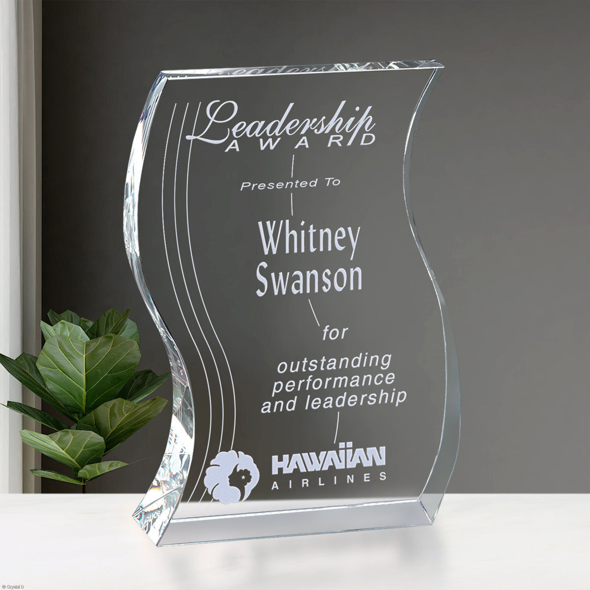 Malibu Award 6" - Crystal D