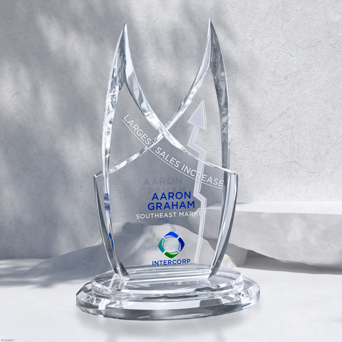 Montague Award 8-1/4" - Crystal D