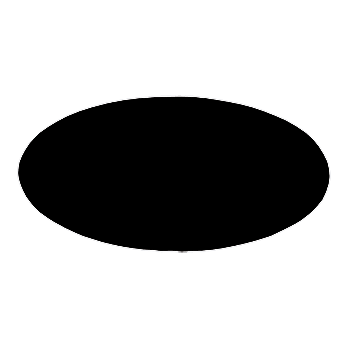 Personalized Engraved Oval Plastic Name Badge – 3" x 1.5" – 3 x 1.5 inches, Black / White