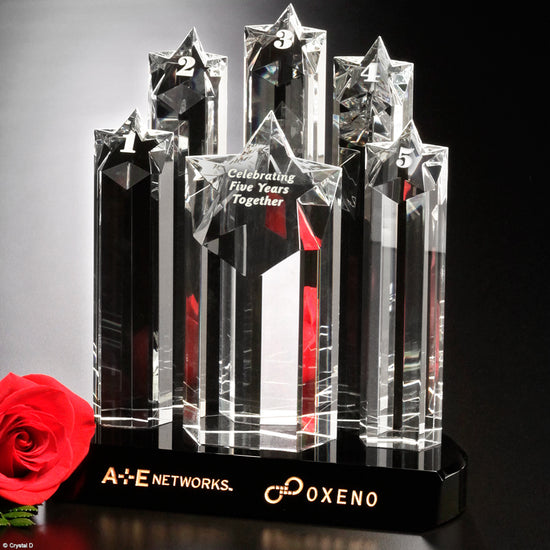 Prominence Award 9"
