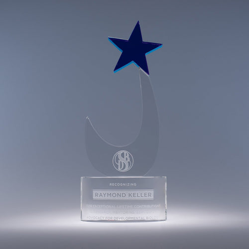 Sensation Crystal Award