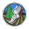 Cross Country Decagon Colored
