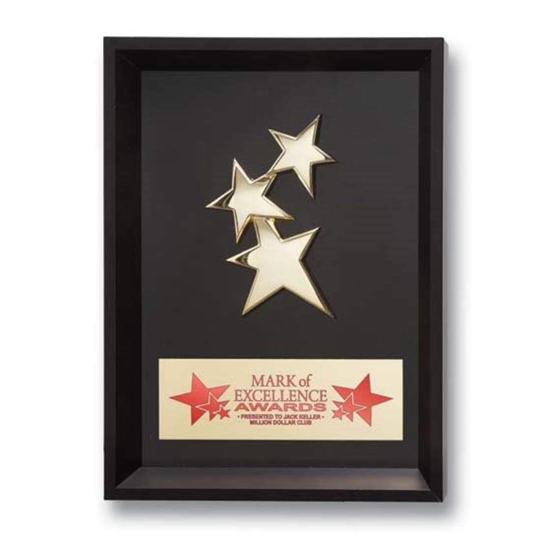 Framed Constellation Award — 91017.19