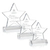 Nelson Star Award