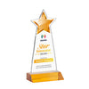 Starlite VividPrint™ Award