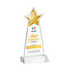 Starlite VividPrint™ Award