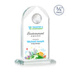Blake Globe VividPrint™ Award - Starfire