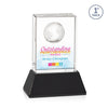 Ambassador VividPrint™ Award on Base