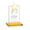 Bryanston Gold Star Award