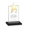Bryanston Gold Star Award