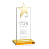 Bryanston Gold Star Award