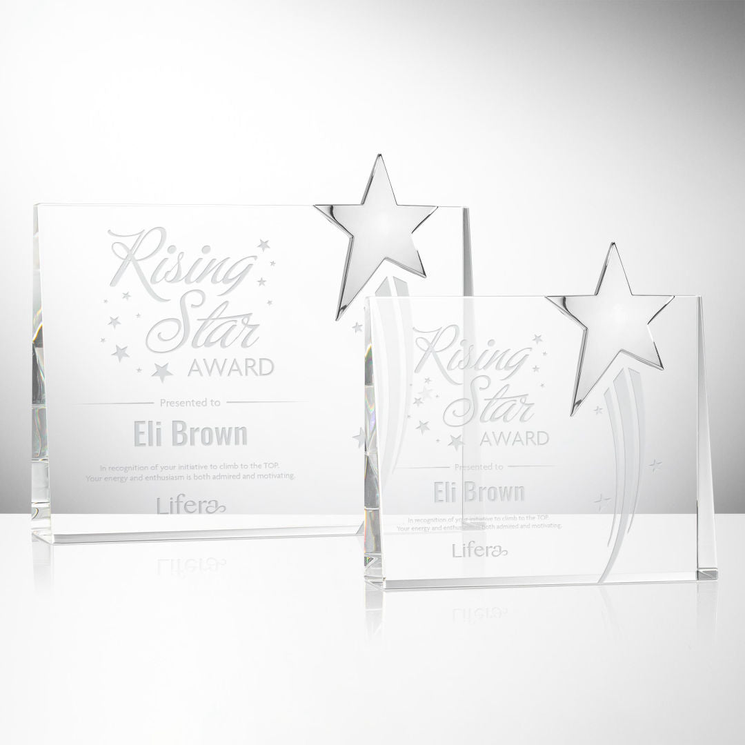 Bradenton Chrome Star Award — OPS22-C
