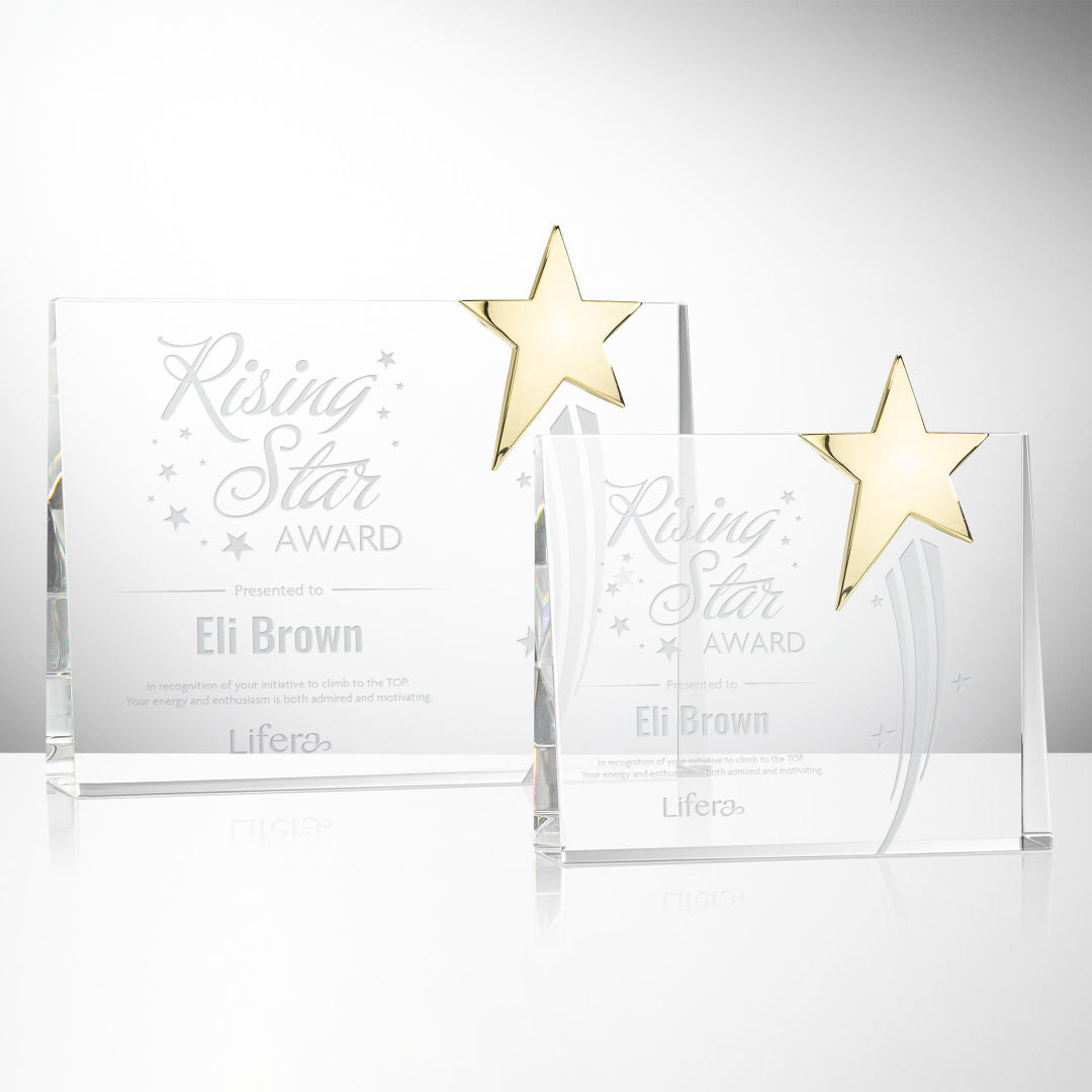 Bradenton Gold Star Award  — OPS22-G