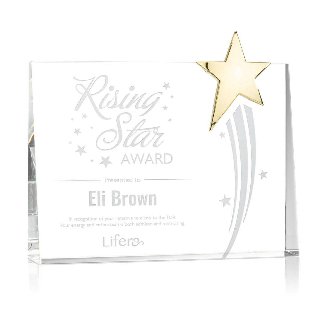 Bradenton Gold Star Award  — OPS223-G