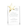 Denham Star Award - Gold