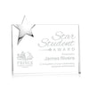 Denham Star Award