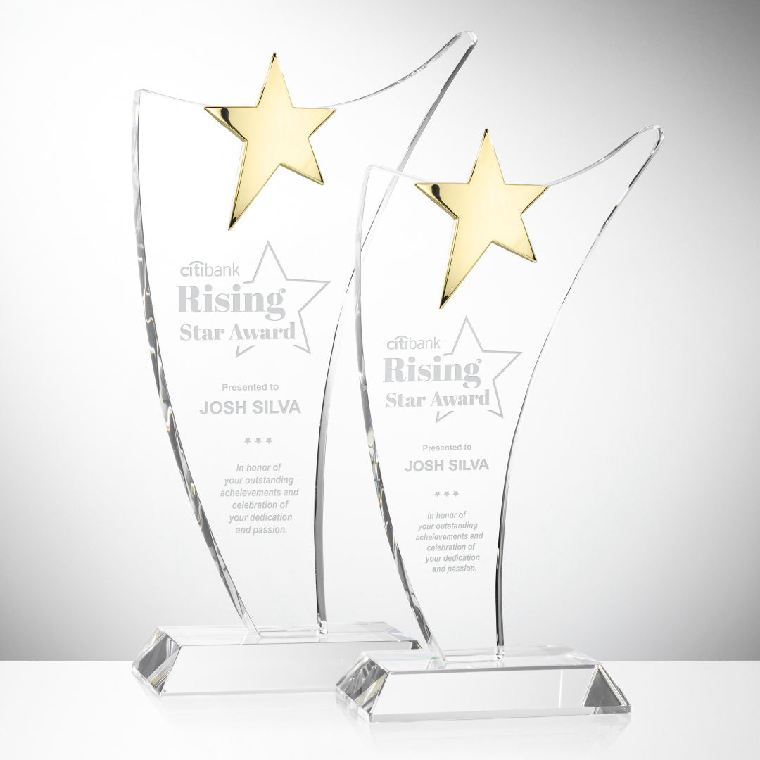 Atkinson Star Award - Gold