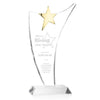 Atkinson Gold Star Award