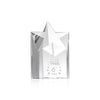 Berkeley Star Tower Award