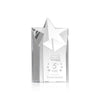 Berkeley Star Tower Award