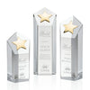 Dorchester Gold Star Award