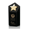 Dorchester Gold Star Award